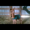 Annalee of Quarry Critters - Image 3