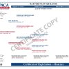 SOLD - KCF Mistletoe - Image 5