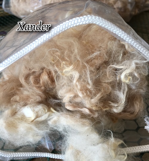 4oz. Raw Alpaca Fleece 2nd Cut Medium Fawn -  Canada