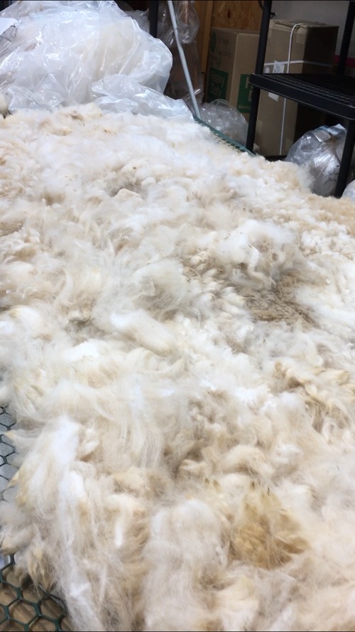 Fabric Fundamentals: How Is Alpaca Fiber Processed? – PAKA®