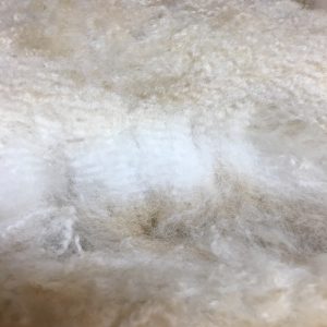 The ALPACA Gift Shop