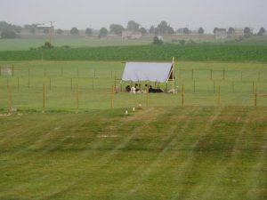 Alpaca Farm in Pennsylvania