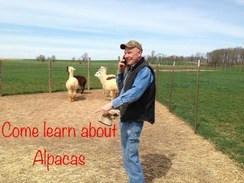 Alpaca Ownership Class in PA
