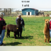 Alpaca Ownership Information in PA