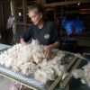 Processing 101 - Characteristics and skirting Alpaca Fibers - Image 4