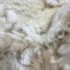 2024 Alpaca Beige fleece ~ Xena - Image 3