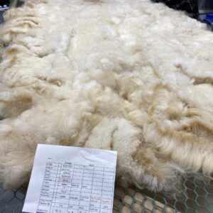 2025 White Alpaca Fleece~ Tinsel