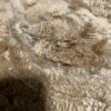 SOLD                   2024 Golden Fawn Alpaca Fleece -Gold Dust - Image 3