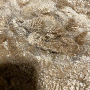 SOLD                   2024 Golden Fawn Alpaca Fleece -Gold Dust
