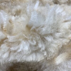 SOLD    2024 White Alpaca Fleece~ Tinsel