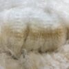 SOLD    2024 White Alpaca Fleece~ Tinsel - Image 5
