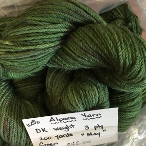 Variegated dark green DK weight Alpaca yarn