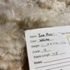SOLD 2024 White Huacaya Alpaca Fleece ~ ICE MAN - Image 2