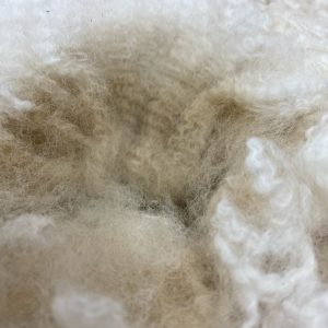 Alpaca Fleece
