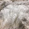 Processing 104 - Spin Alpaca Fibers - Image 5