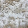 Raw White 2025 Alpaca Fleece ~Jasmine - Image 6