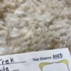 2024~~Zipper like crimp white Alpaca Fleece~Trek - Image 5