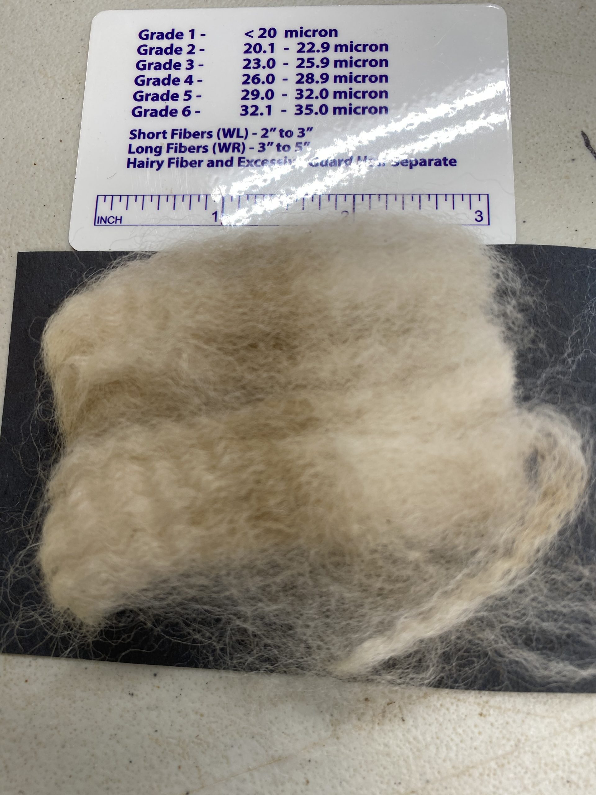 2022 Fleece from alpaca named Xander Quarry Critters Alpaca Ranch