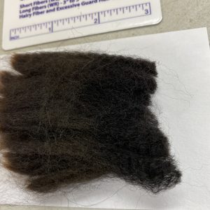 SOLD 2024 True Black Alpaca  Fleece ~ Speed Skater