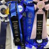 SOLD 2024 True Black Alpaca  Fleece ~ Speed Skater - Image 2