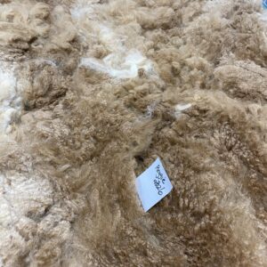 2026 ~Raw Fawn Fleece - Reggie