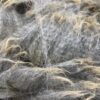 Sold ~2024 Medium Silver Grey Fleece - Spitz - Image 5