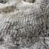 Sold ~2024 Medium Silver Grey Fleece - Spitz - Image 4