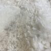SOLD      2024 White Fleece ~ Ichabod - Image 4