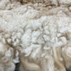 Processing 104 - Spin Alpaca Fibers - Image 4