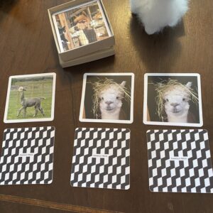 Gift: Alpaca Match Game