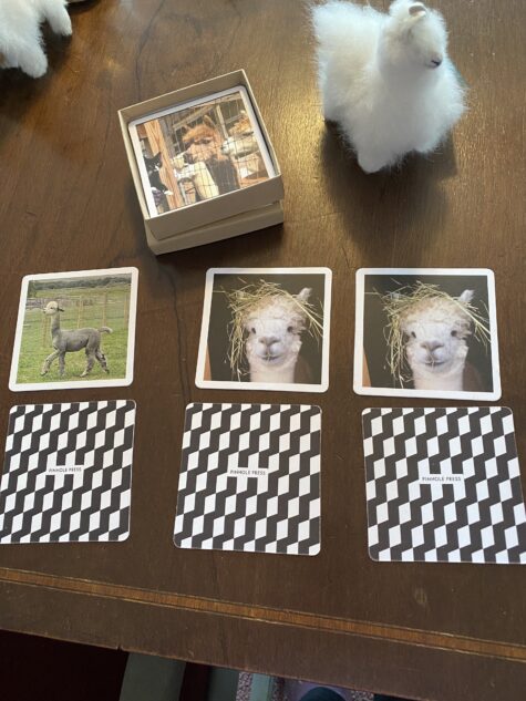 Gift: Alpaca Match Game