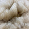 SOLD   2024 White Alpaca Fleece ~ Anna - Image 2