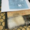 SOLD   2024 White Alpaca Fleece ~ Anna - Image 5