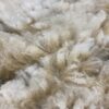 SOLD   2024 White Alpaca Fleece ~ Anna - Image 6