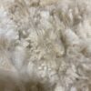 SOLD   2024 White Alpaca Fleece ~ Anna - Image 7