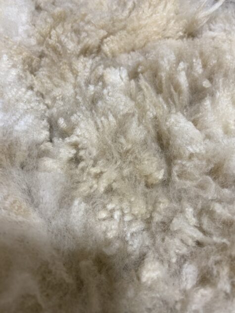 SOLD   2024 White Alpaca Fleece ~ Anna