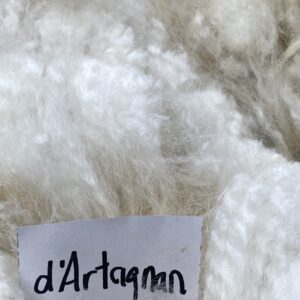 2026 White Alpaca Fleece~ d'Artagnan