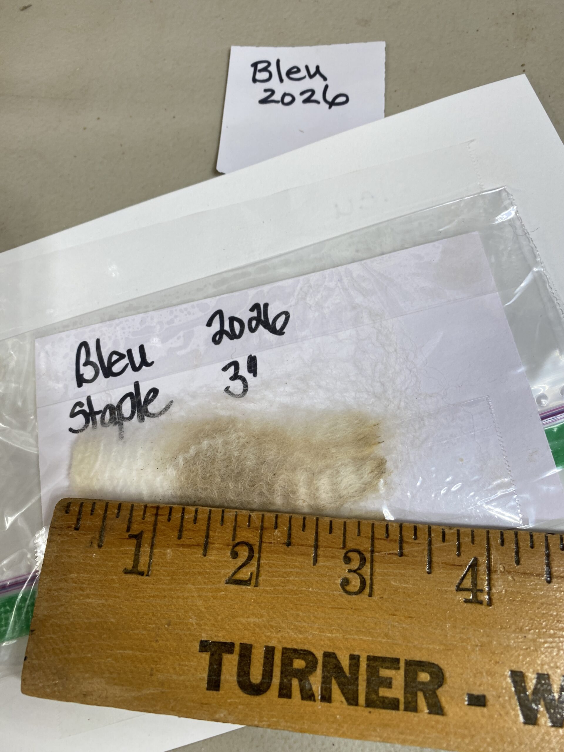 2026 ~ White Alpaca Fleece~ Bleu - Image 2