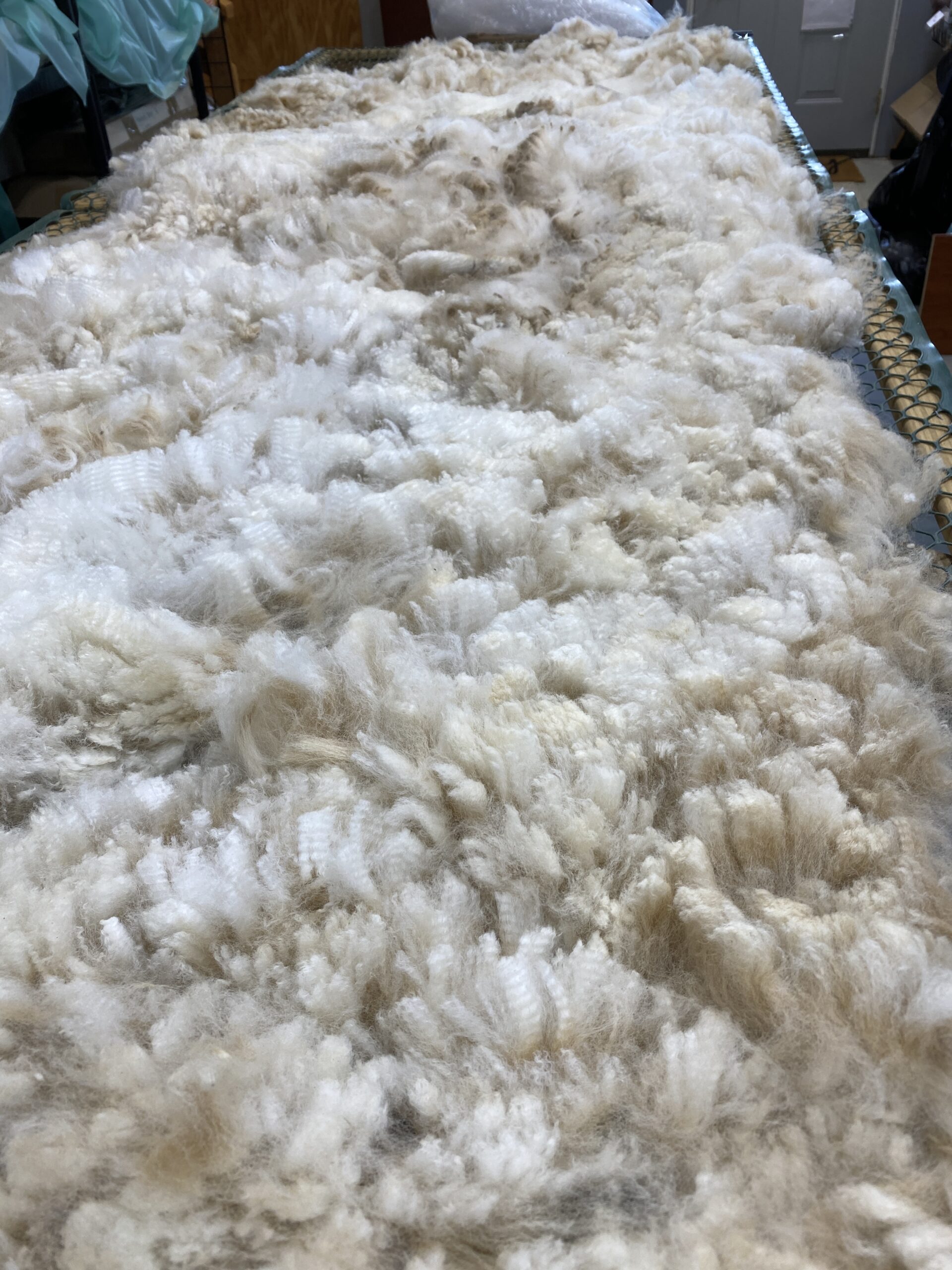 2026 ~ White Alpaca Fleece~ Bleu - Image 9