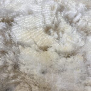 2026 ~ White Alpaca Fleece~ Bleu