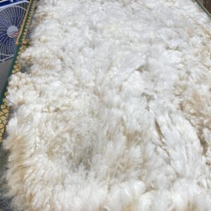 SOLD ~~2023 White Alpaca Fleece~ Bleu