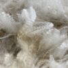 SOLD ~~2023 White Alpaca Fleece~ Bleu - Image 2