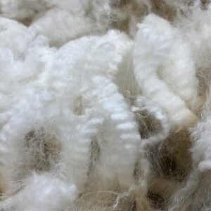SOLD 2024 White Alpaca Fleece~ d'Artagnan