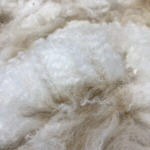 2026 white crimpy locks - Alpaca Fleece ~ Jacilee