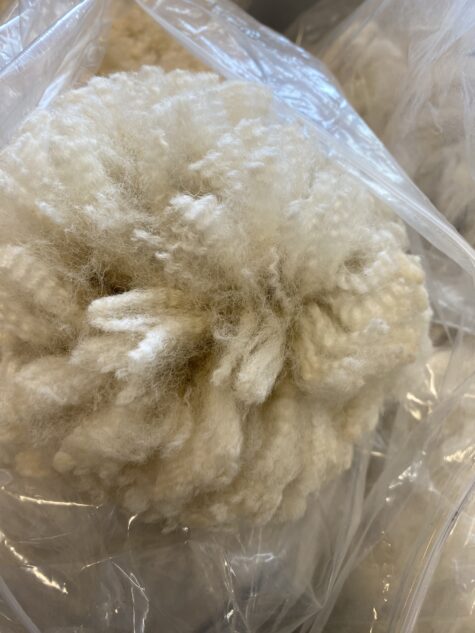 White Huacaya Alpaca fleece