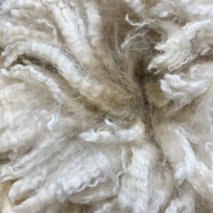 Raw Alpaca Fiber & Fleece for Sale