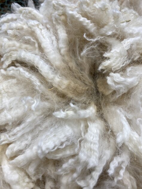 Long white crimped Alpaca yarn