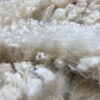 Sold 2024 Long white crimpy locks - Alpaca  Fleece ~ Jacilee - Image 4