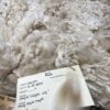 Sold 2024 Long white crimpy locks - Alpaca  Fleece ~ Jacilee - Image 7