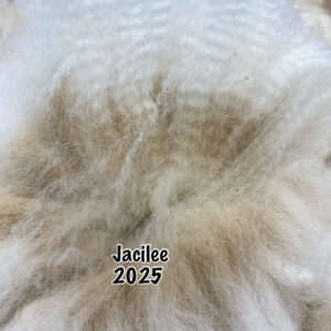 2025 white crimpy locks - Alpaca  Fleece ~ Jacilee